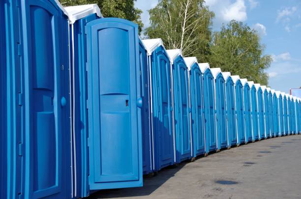 Best Porta potty rental for parties  in Cadillac, MI